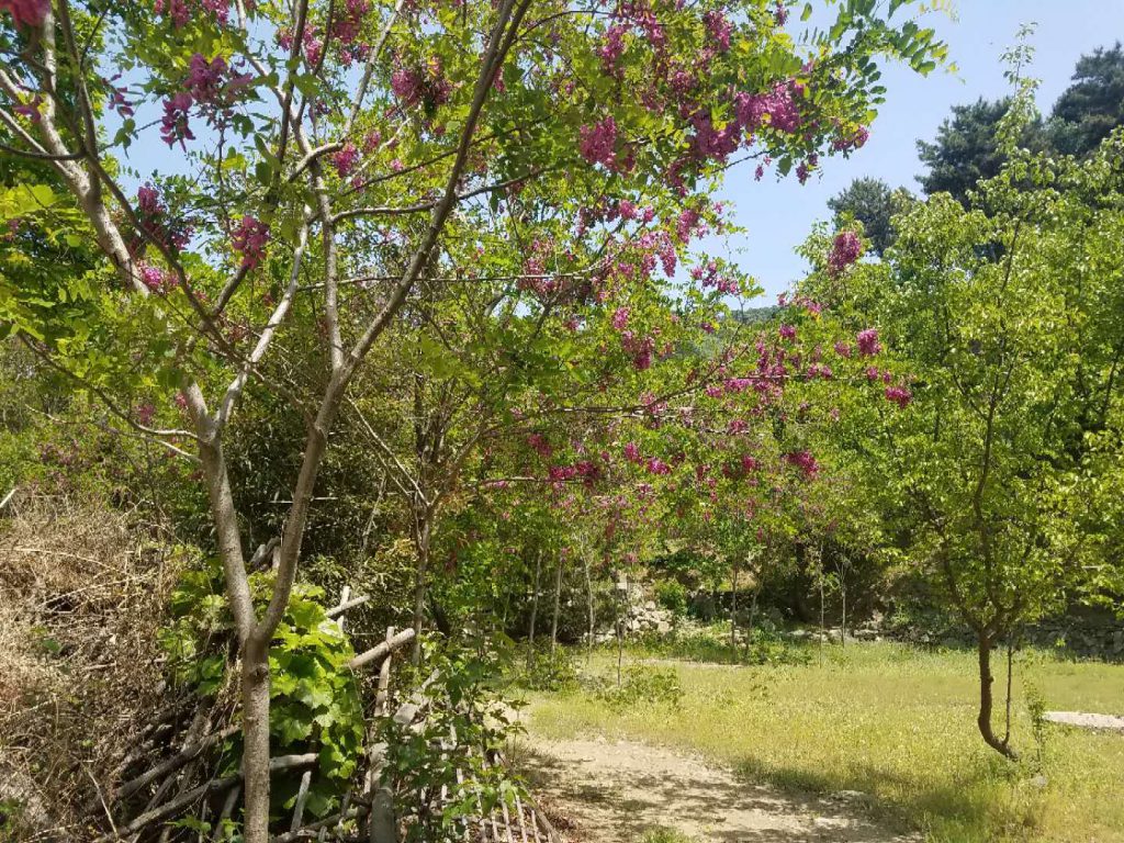 怀柔 九渡河穿越到一渡河